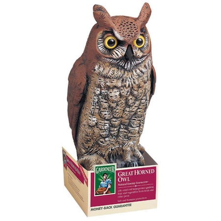 Wetsel Dalen Owl - Ow 6 Painted Model OW6 635015